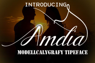 Amelia: A Script That Works When Others Don’t