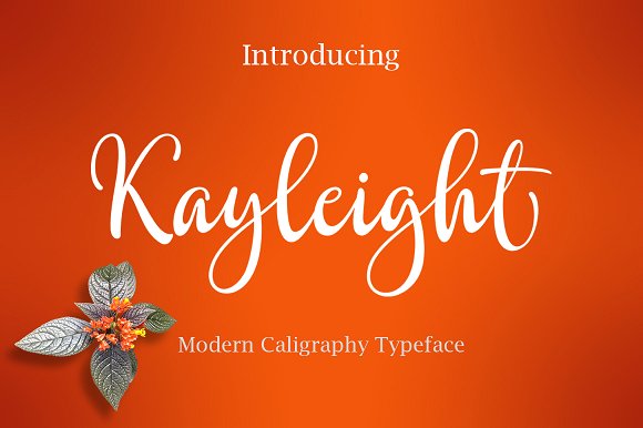 Kayleight Font Review: A Script Family Built for Campaign Visuals