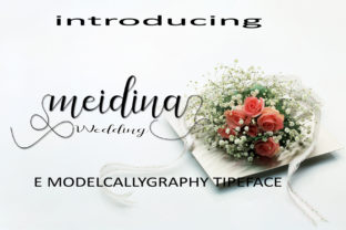 Meidina Font Review: How a Handwritten Script Typeface Brings Warmth to Small Business Branding