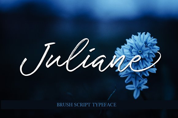 Why Juliane Script Font Works for Small Business Branding